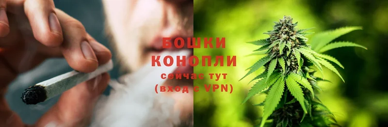 Шишки марихуана THC 21%  Семёнов 